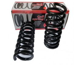 MITSUBISHI L200- PICK UP- 99/06; ÖN HELEZON YAYI SAG/SOL (2LI SET) (17X118X295) (STDR)