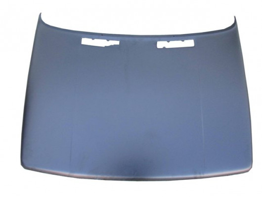 RENAULT R9- BROADWAY- 97/00; MOTOR KAPUTU (İCELİ/ÇEKOMASTİKLİ) (EAGLE BODY)