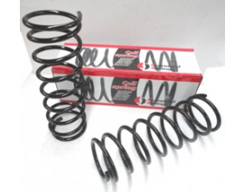 RENAULT R12- TOROS- 76/00; ÖN HELEZON YAYI SAG/SOL (2LI SET) (14X160) (STDR)