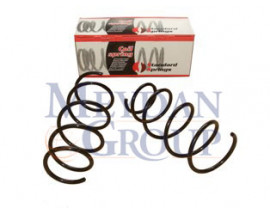 RENAULT CLIO- 2- SD/HB- 02/08; ÖN HELEZON YAYI SAG/SOL (2LI SET) 1.5DCI (11,25X146X373)(STDR)