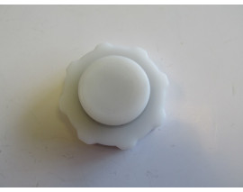 RENAULT MEGANE- 1- 98/99; RADYATÖR YEDEK SU DEPOSU KAPAĞI (BEYAZ)