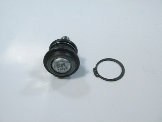 RENAULT MEGANE- 2- 03/09; ALT ROTİL SAĞ/SOL AYNI (ADET) (16 mm) (SH)