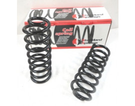 DACIA LOGAN- MCV- 06/08; ARKA HELEZON YAYI SAĞ/SOL (2Lİ SET)(12,25X102) (STDR)