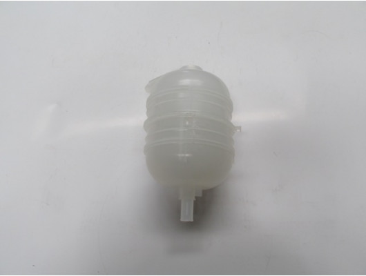 PEUGEOT 206 PLUS- HB- 10/13; RADYATÖR YEDEK SU DEPOSU (1.4cc) (KAPAKSIZ) (PLEKSAN)