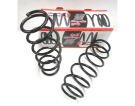 PEUGEOT 207- 06/12; ÖN HELEZON YAYI SAG/SOL (2LI SET) (12,25X143) (STDR)