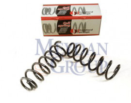 PEUGEOT 406- 95/04; ARKA HELEZON YAYI SAG/SOL (2LI SET) 2.0cc (13X116X360)(STDR)