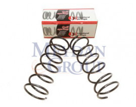 CITROEN BERLINGO- 96/03; ÖN HELEZON YAYI SAĞ/SOL (2Lİ SET) 1.9D/2.0HDI(12,75X159X474)(STDR)