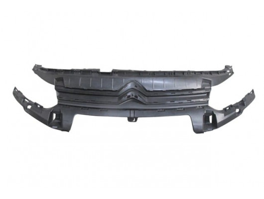 CITROEN BERLINGO- VAN- 19/24; ÖN PANJUR SİYAH/ÇITASIZ (TW)