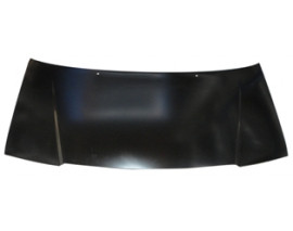 CITROEN JUMPY- 04/06; MOTOR KAPUTU (TYG)