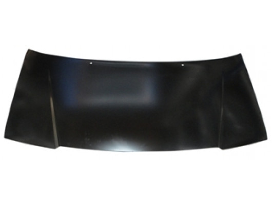 CITROEN JUMPY- 04/06; MOTOR KAPUTU (TYG)