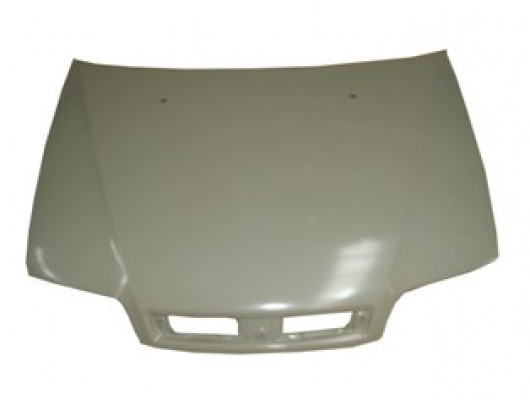 FIAT ALBEA- 02/05; MOTOR KAPUTU GRİ BOYALI (İCELİ/ÇEKOMASTİKLİ) (SIMYI)