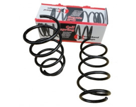 TOYOTA COROLLA- ZZE121- 02/06; ÖN HELEZON YAYI SAĞ/SOL (2Lİ SET) (STDR)