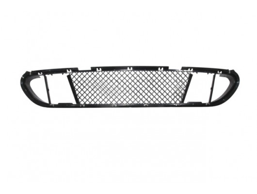 BMW 5 SERI- E60- 04/10; ÖN TAMPON PANJURU ORTA (M-TECH/LCI)