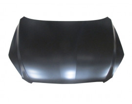 TOYOTA RAV4- 06/09; MOTOR KAPUTU (TYG)