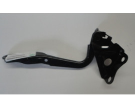 TOYOTA RAV4- 06/09; KAPUT MENTEŞESİ SOL (TYG)