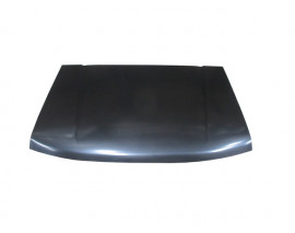 DFM PICK UP- RICH- 10/12; MOTOR KAPUTU (MY)