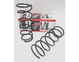 MAZDA 323- LANTIS- 95/98; ARKA HELEZON YAYI SAG/SOL (2LI SET) (11,25X139) (STDR)