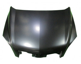 OPEL ANTARA- 07/11; MOTOR KAPUTU (TW)