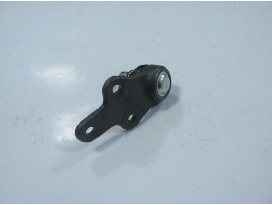 FORD FOCUS- SD/HB- 12/14; ALT ROTIL SAG (SH)