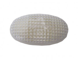 DAEWOO NUBIRA- 98/99; ÇAMURLUK SİNYALİ BEYAZ SAĞ/SOL AYNI (ADET) (EUROLAMP)