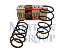 VOLKSWAGEN POLO- 4- 99/01; ÖN HELEZON YAYI SAĞ/SOL (2Lİ SET) 1.4cc (12X140X339)(STDR)