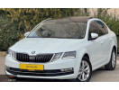 SKODA OCTAVIA- 17/19; ARAÇ BİLGİLERİ VE RESİMLERİ