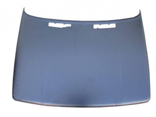 RENAULT R9- BROADWAY- 97/00; MOTOR KAPUTU (İCELİ/ÇEKOMASTİKLİ) (EAGLE BODY)