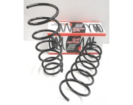 RENAULT R19- EUROPA- 92/01; ÖN HELEZON YAYI SAĞ/SOL (2Lİ SET) (12,75X161) (STDR)