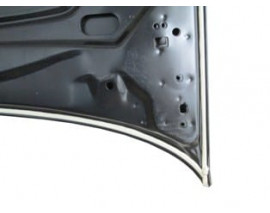 RENAULT CLIO- 2- SD/HB- 02/08; MOTOR KAPUTU (İCELİ/ÇEKOMASTİKLİ) (EAGLE BODY)