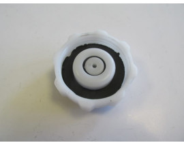 RENAULT MEGANE- 1- 99/02; RADYATÖR YEDEK SU DEPOSU KAPAĞI (MAVİ)