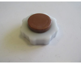 RENAULT SCENIC- 1- 00/03; RADYATÖR YEDEK SU DEPOSU KAPAĞI (KAHVERENGİ)