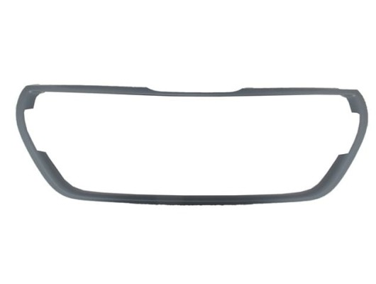 PEUGEOT 208- 16/20; ÖN PANJUR ÇERÇEVESİ ASTARLI (TYG)