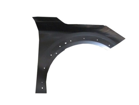 PEUGEOT 208- 20/23; ÖN ÇAMURLUK DELİKSİZ SAĞ DODİK DELİKLİ (TYG)