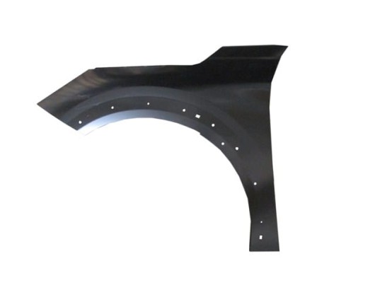 PEUGEOT 208- 24/25; ÖN ÇAMURLUK DELİKSİZ SOL DODİK DELİKLİ (TYG)