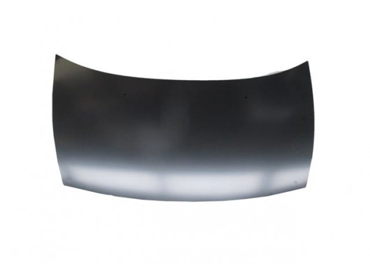 CITROEN C3- 06/09; MOTOR KAPUTU (TW)