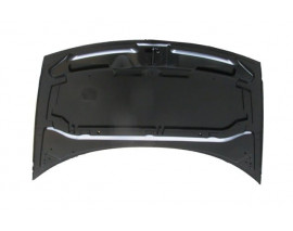 CITROEN C3- 06/09; MOTOR KAPUTU (TW)