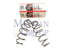 CITROEN C3- 03/09; ÖN HELEZON YAYI SAĞ/SOL (2Lİ SET) 1.4İ/1.4 16V (11X142X448)(STDR)