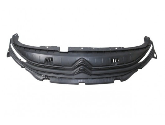 CITROEN BERLINGO- 19/24; ÖN PANJUR SİYAH ÇITASIZ (TW)