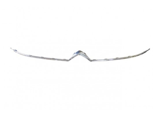 CITROEN BERLINGO- 19/24; ÖN PANJUR ÜST NİKELAJ ÇITASI (TW)