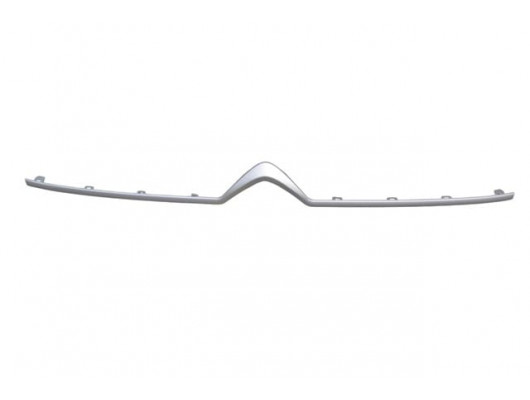 CITROEN BERLINGO- VAN- 19/24; ÖN PANJUR ÜST ÇITASI GÜMÜŞ GRİ (TW)