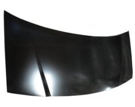 CITROEN JUMPY- 04/06; MOTOR KAPUTU (TYG)