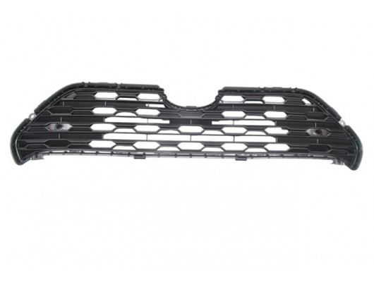 TOYOTA RAV4- 18/24; ÖN PANJUR GÜMÜŞ GRİ (TYG)