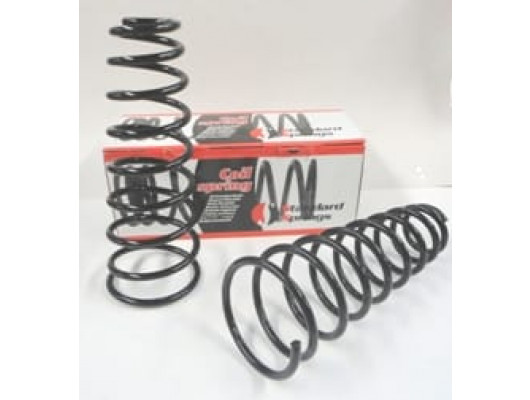 NISSAN PRIMERA- P11- 97/99; ÖN HELEZON YAYI SAĞ/SOL AYNI (2Lİ SET) 1,6/1,8cc (11,5X90X151) (STDR)