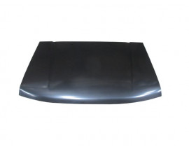 DFM PICK UP- RICH- 10/12; MOTOR KAPUTU (MY)