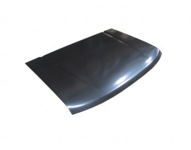 DFM PICK UP- RICH- 10/12; MOTOR KAPUTU (MY)