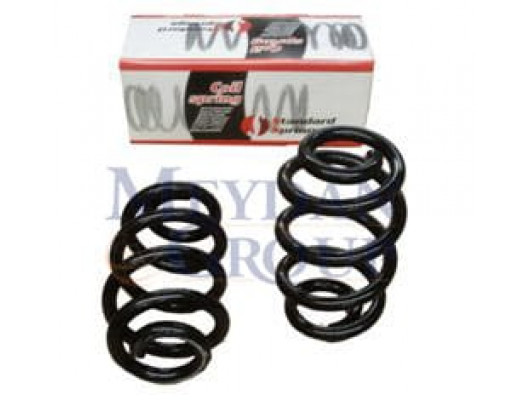 OPEL MOVANO- 99/03; ÖN HELEZON YAYI SAĞ/SOL (2Lİ SET)2.5/2.8 TDI (19X158X269)(STDR)