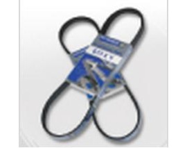 1130 K 6 KANALLI KAYIŞ 405-306-XSARA 1.9 DZL. 68800