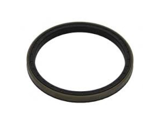 12011410B ARKA TEKER KEÇESİ IVECO DAILY 83-89