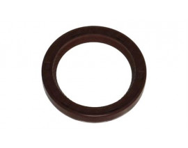 12013859B EKSANTRİK MİL KEÇESİ R19-CLIO-MGN-KNG-LGN 1.4 1.6 47x35x7