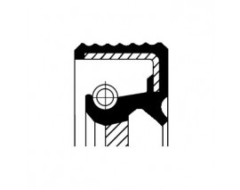 20037129B ON KRANK KECESI MEGANE IV 15 KADJAR 15 CLIO V 19 TALISMAN 15 SANDERO II 12 QASHQAI II 18 MICRA V 18 JUKE F16 19 0.9 TCE 1.0 TCE 1.2 TCE 1.3 TCE